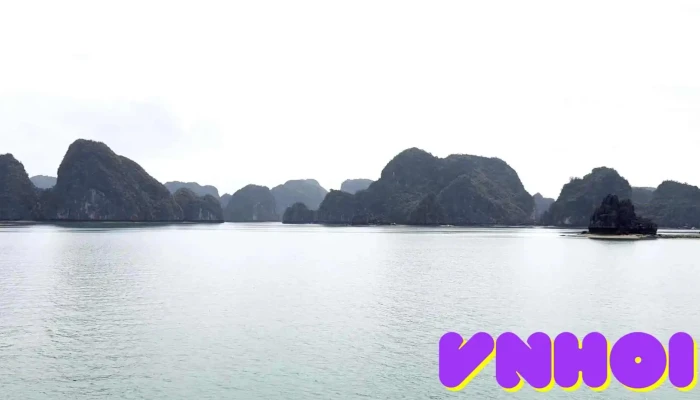 Bai Tam Van Boi Moi Nhat - Hải Phòng