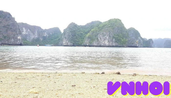 Bai Tam Van Boi Tat Ca - Hải Phòng