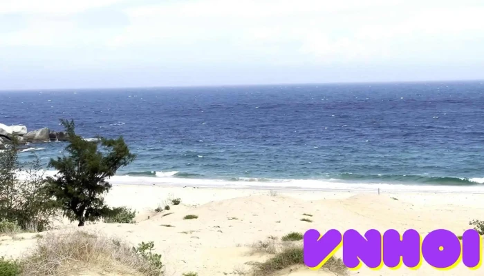 Bai Trang Mui Dinh Video - Ninh Thuận