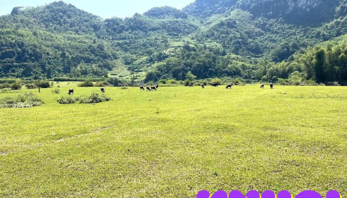 Bãi Tình - Cao Bằng