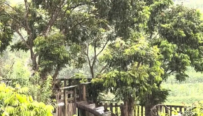 Bai Xe Suoi Khoang Nong Tram Tau Cuong Haii Cua Khach Tro - Yên Bái