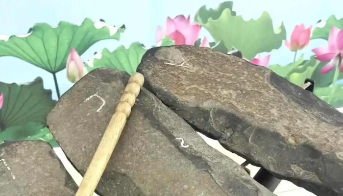 Bao Tang Tinh Binh Phuoc Moi Nhat - Bình Phước