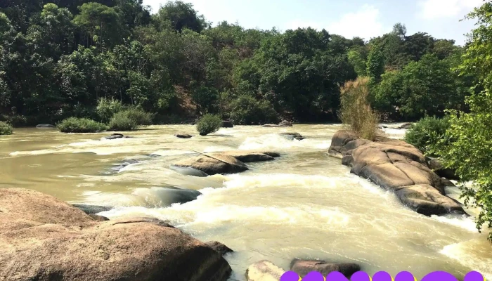 Bau Nuoc Soi Kdl Thac Mai Tat Ca - Đồng Nai