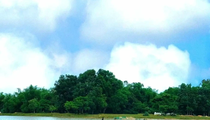 Bàu sen - Hành Trung