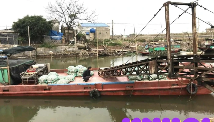 Ben Cang Hai Duong   Giao Lac Tat Ca - Nam Định