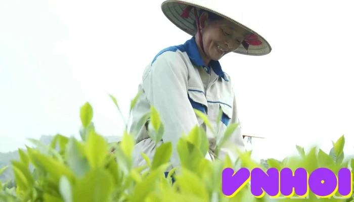 Ben Cang Hai Duong   Giao Lac Video - Nam Định