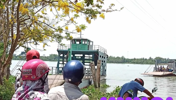 Ben Pha Hiep Duc  Tan Phong Tat Ca - Tiền Giang
