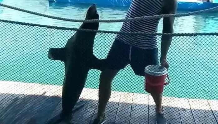 Ben Tau Tri Nguyen Video - Khánh Hòa