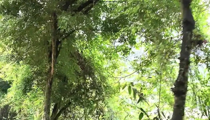 Ben Thuyen Di Vuon Chim Thung Nham Moi Nhat - Ninh Bình