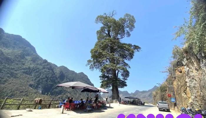 Bien Chi Dan Yen Minh Nui - Hà Giang