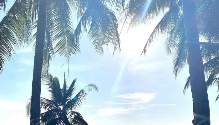 Bien Ke Ga Cua Chu So Huu - Bình Thuận