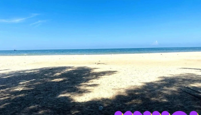 Bien Lang Chai Cam Binh   La Gi Moi Nhat - Bình Thuận