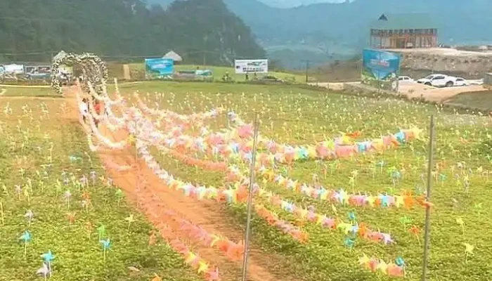Binh Nguyen Xanh Khai Trung Nui - Yên Bái