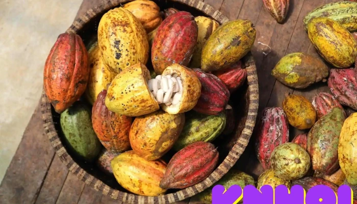Binon Cacao Park -  Cua Chu So Huu - Bà Rịa - Vũng Tàu
