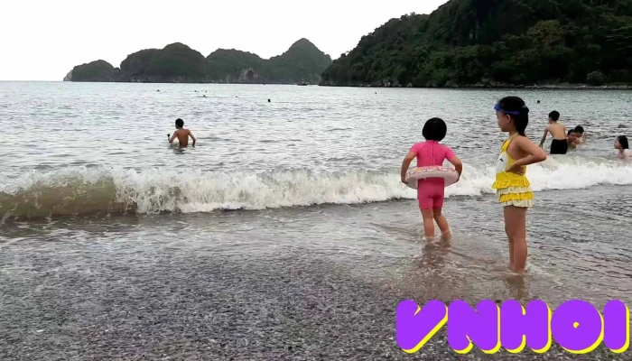 Blue Swimmer Adventures -  Cua Chu So Huu - Hải Phòng