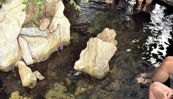 Blue Swimmer Adventures -  Moi Nhat - Hải Phòng