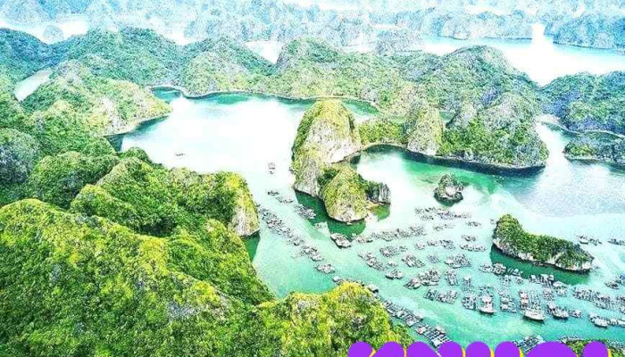 Blue Swimmer Adventures -  Tat Ca - Hải Phòng