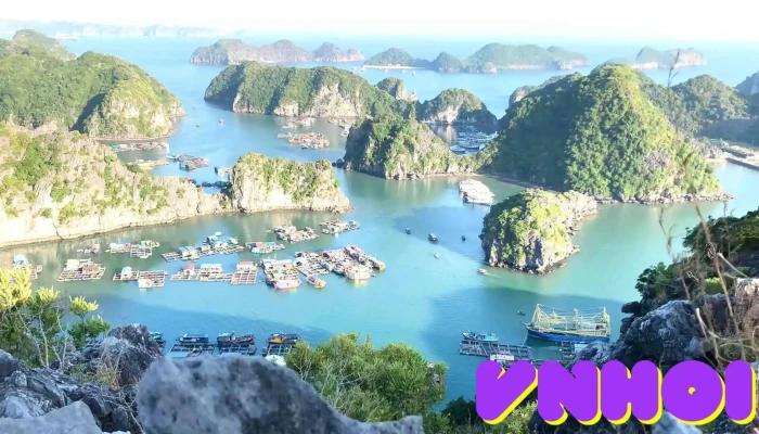 Blue Swimmer Adventures -  Video - Hải Phòng