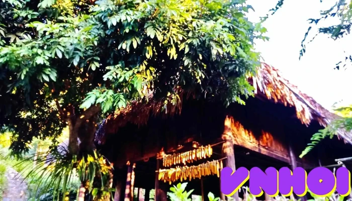 Bảo tàng Không gian Văn hóa Mường - Hòa Bình