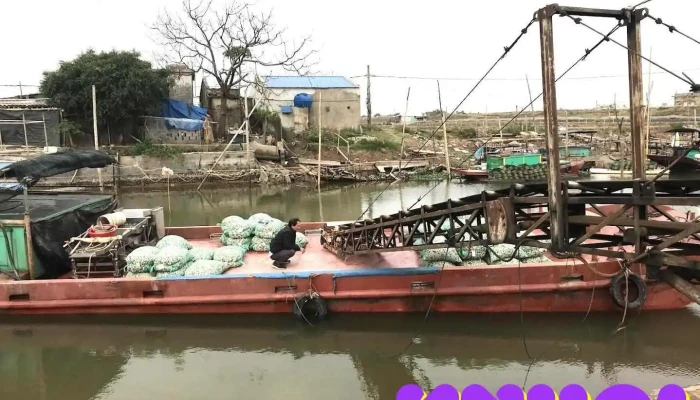 Bến Cảng Hải Đường - Giao Lạc - Nam Định