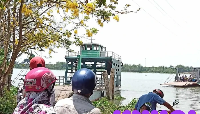 Bến phà Hiệp Đức -Tân Phong - Tiền Giang