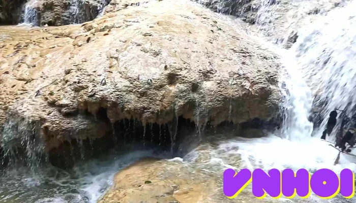 Cam Thanh Video - Thanh Hóa