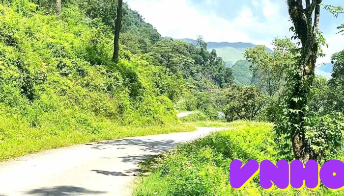 Can Lung Video - Hà Giang