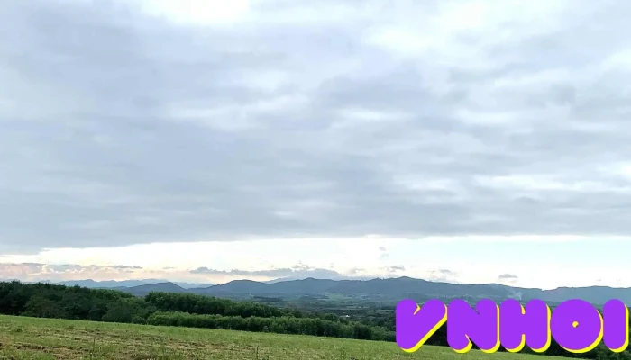 Canh Dong Co Th True Milk Nui - Nghệ An