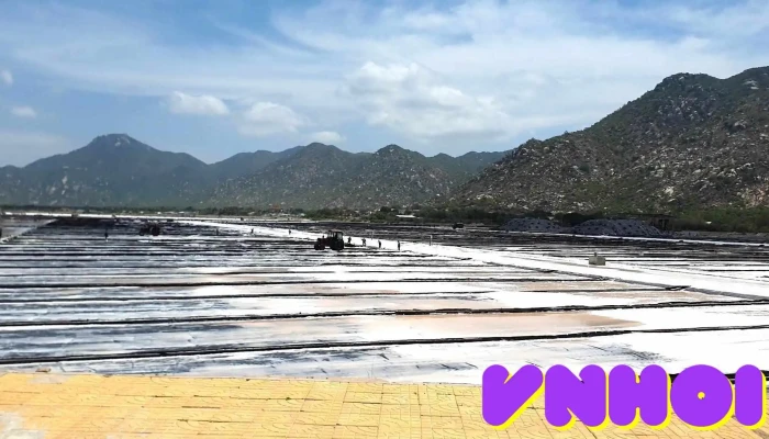 Canh Dong Muoi Phuoc Diem Nui - Ninh Thuận