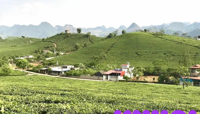 Cao Nguyên Mộc Châu - Mộc Châu