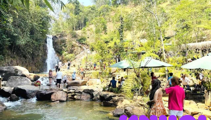 Cat Farm - Bảo Lộc