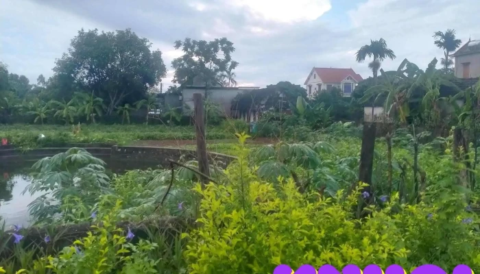 Cau Au Khanh Thien Tat Ca - Ninh Bình