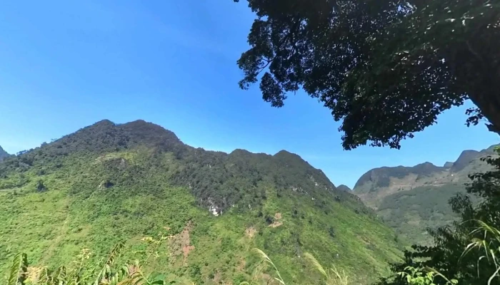 Cay Co Don Ha Giang Che Do Xem Pho Va 360deg - Hà Giang