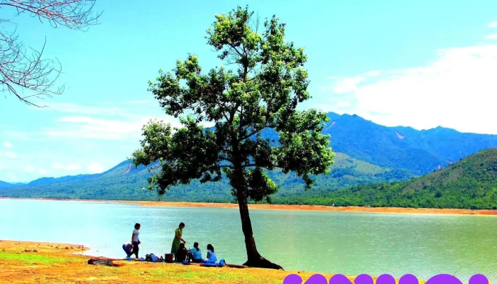 Cây cô đơn - Hướng Linh