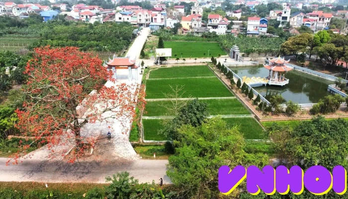 Cây Gạo Thôn Thụy Lân - Đt199