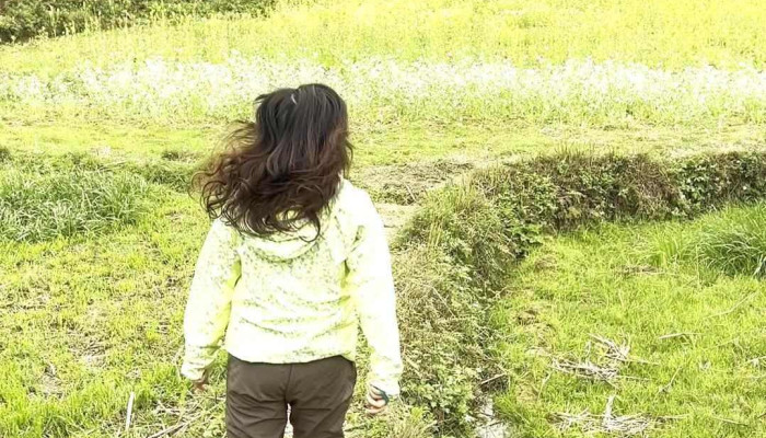 Cay Mac Cot Xuan Truong Video - Cao Bằng