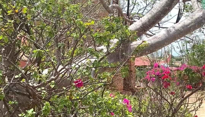 Champa Temples CNpaa Deevsthaangllu Moi Nhat - Bình Thuận