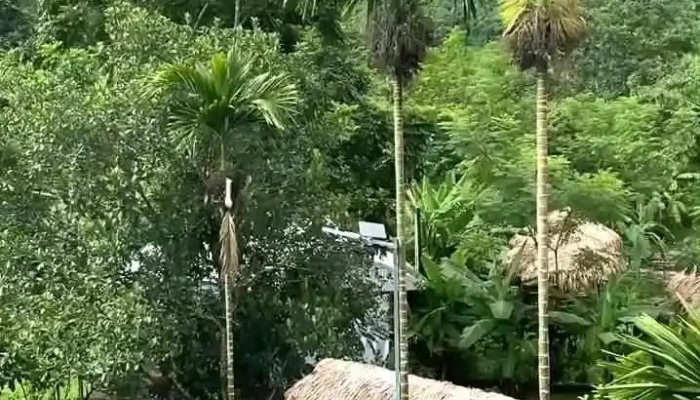 Chieng Farm Ngoai That - Hòa Bình
