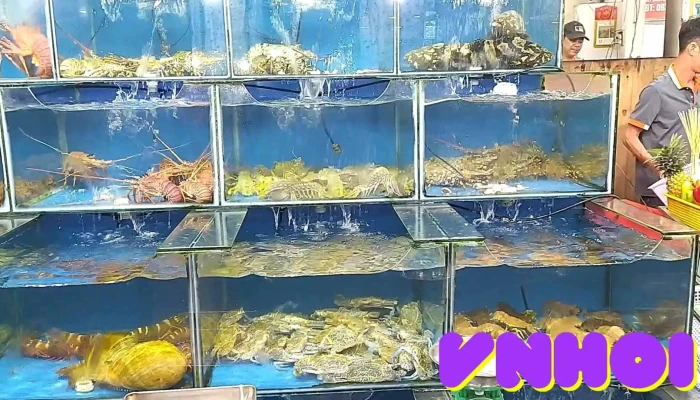 Cho Dem Phu Quoc Video - Kiên Giang