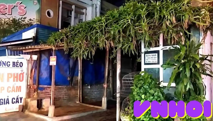Cho Dien Hong Video - Nam Định
