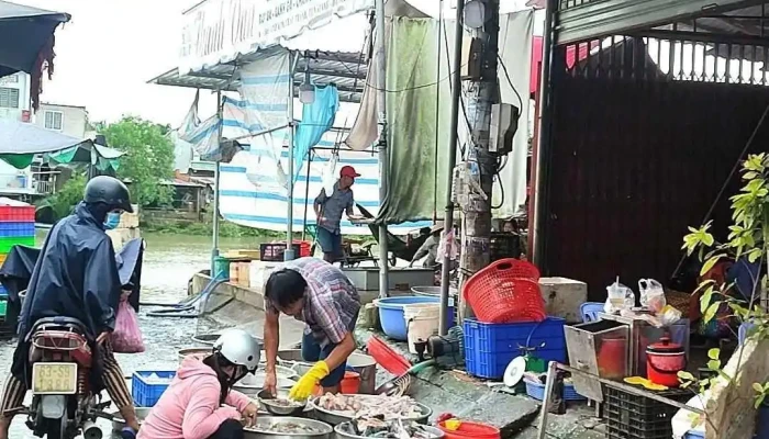 Cho Giua Vinh Kim Video - Tiền Giang