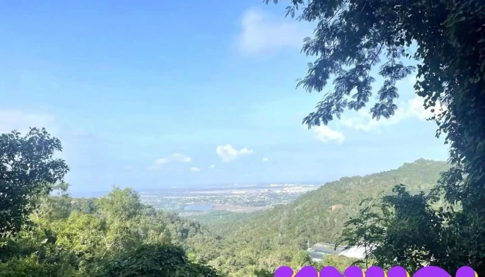 Chùa Hang Tổ - Bà Rịa - Vũng Tàu