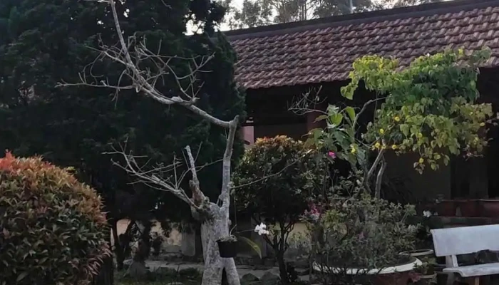 Chua Linh Son Video - Lâm Đồng