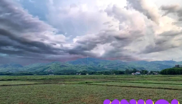 Chua Phu Son Video - Quảng Nam