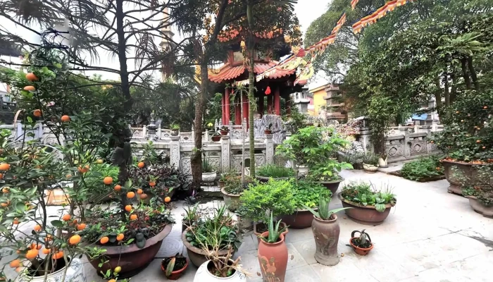 Chua Thanh Quang Che Do Xem Pho Va 360deg - Bắc Ninh