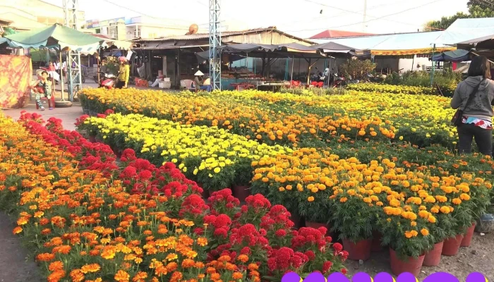 Chợ Hòa Tân - Hoà Tân