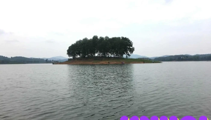 Chợ Bình Cầu - Tt. Ân Thi