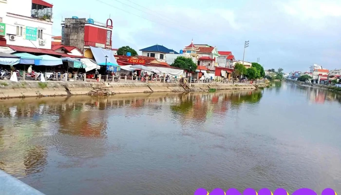 Chợ Gú - Đ. Hổ Đội