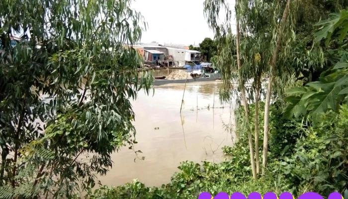 Chợ Phú Cường - Phú Cường
