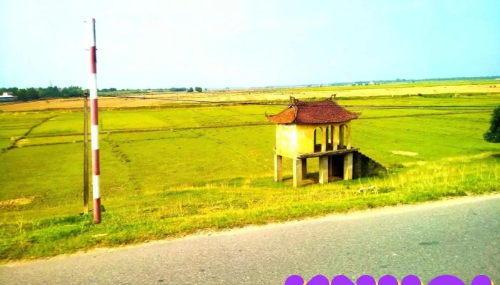Chợ Vàng - Tam Dương